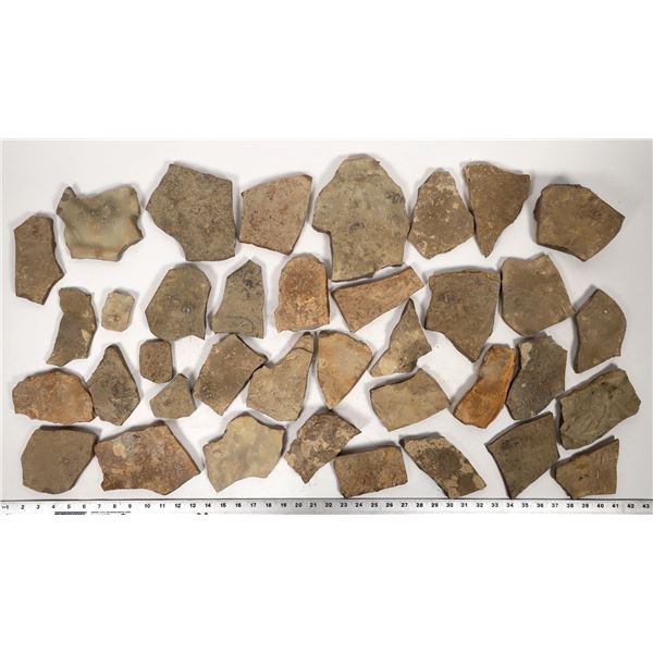 Trilobites, Large Plates, 38 Pounds [194609]