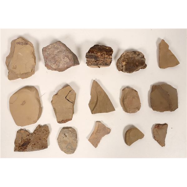 Insect Fossils, 3.2 Pounds [194644]