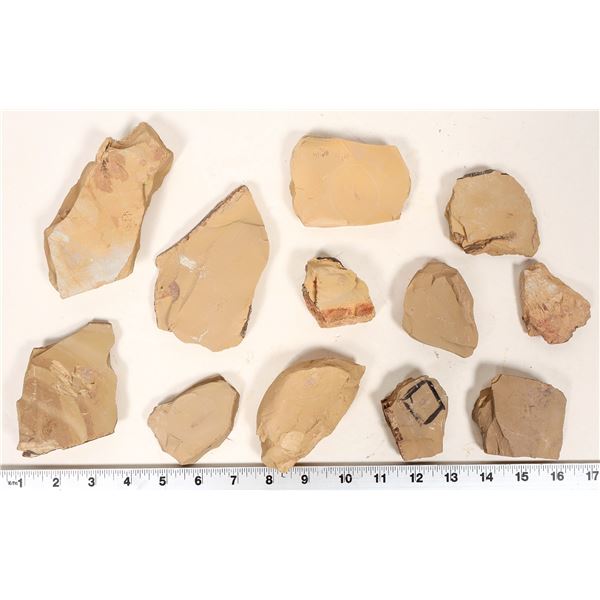 Insect Fossils, 3.2 Pounds, Rare & Better Specimens [194720]