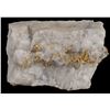 Image 2 : Harvard Mine Native Gold in Quartz Specimen [199188]
