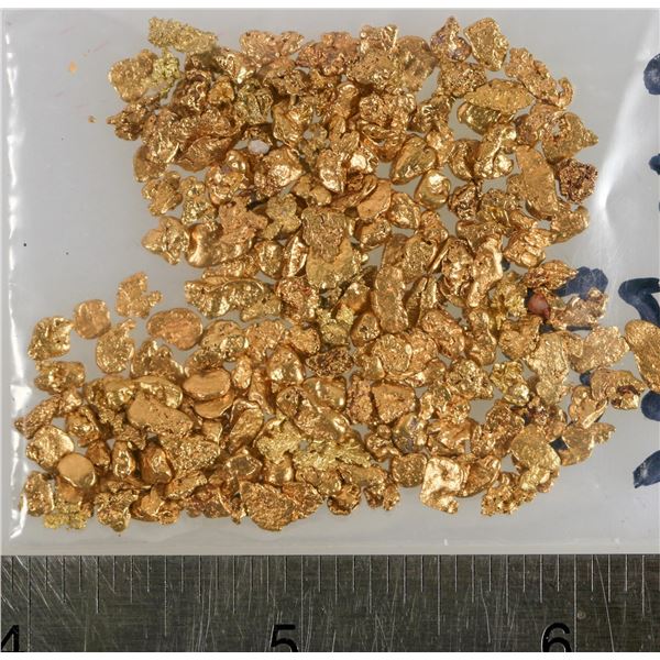 California Gold Nugget Group (About 1 ounce) [203975]