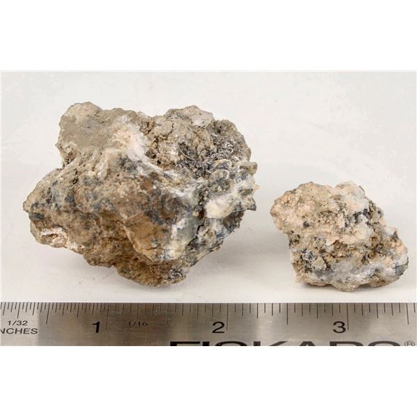 Wire and Native Silver from Austin, Nevada [207076]