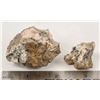 Image 2 : Wire and Native Silver from Austin, Nevada [207076]
