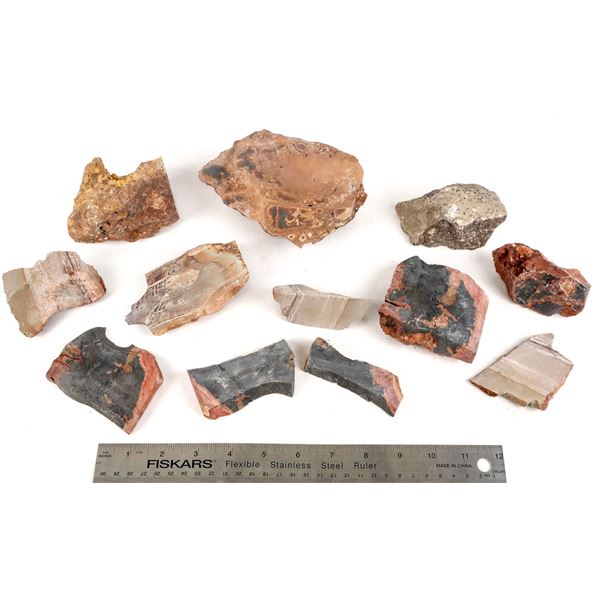 Nevada Ore Specimen Collection [207239]