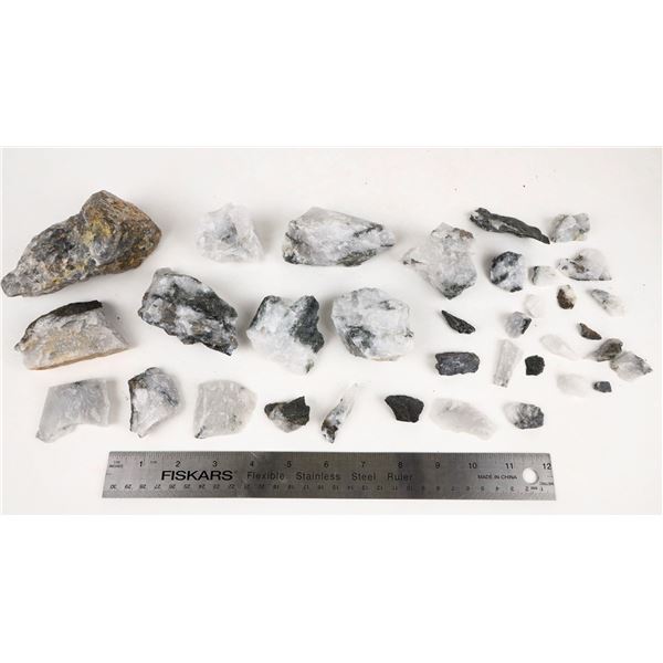 Homestake Mine Ore Several Pounds Likely w/microscopic gold [206748]