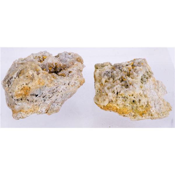 Native Gold in Quartz - 2 specimens. [206878]