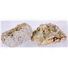 Image 2 : Native Gold in Quartz - 2 specimens. [206878]