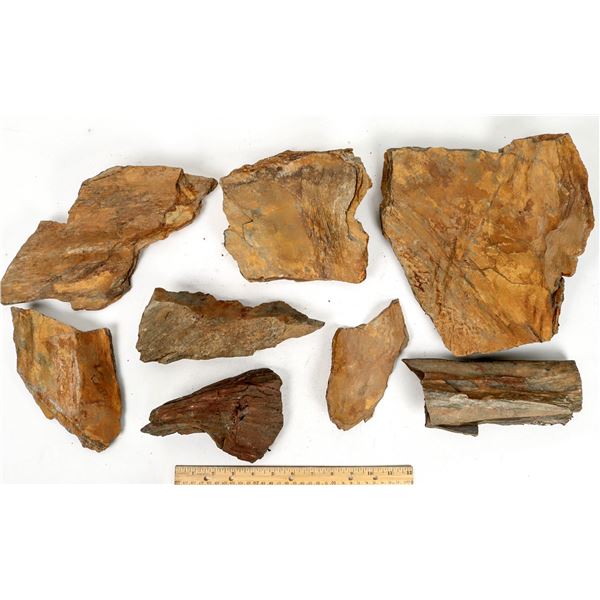 Structural Folds in Poorman Fm. Schist, Lead, SD [199190]