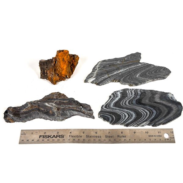 2 Homestake Formation Slabs & Poorman Formation Specimen [204340]