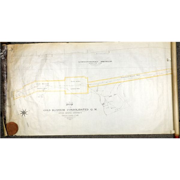 Gold Blossom Consolidated Quartz Mine Map, Ophir, California, c.1880s [198127]
