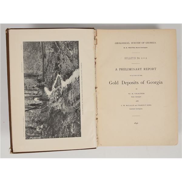 Georgia Geological Survey 1896 - Key Reference! [204678]