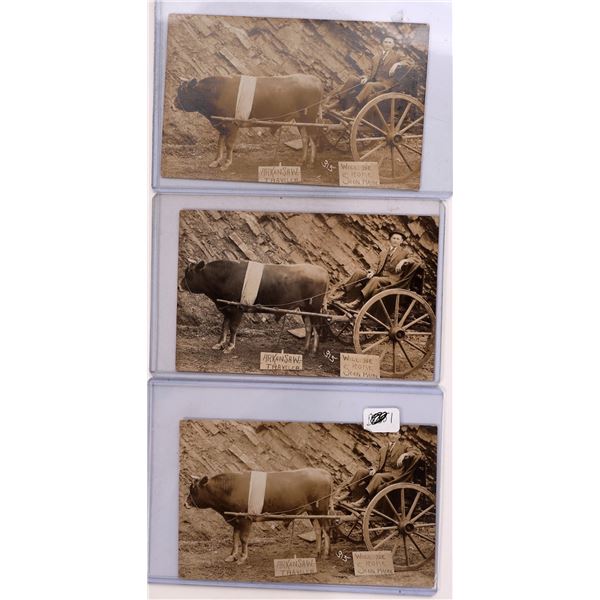 Postcards - Arkansas Traveler, 1920s (3) [186698]