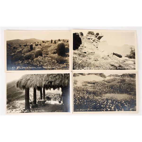 Early Palm Spring Post Cards Group [205335]