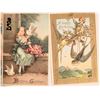 Image 6 : Birthday & Holiday Postcards c1908-16 (20) [184615]