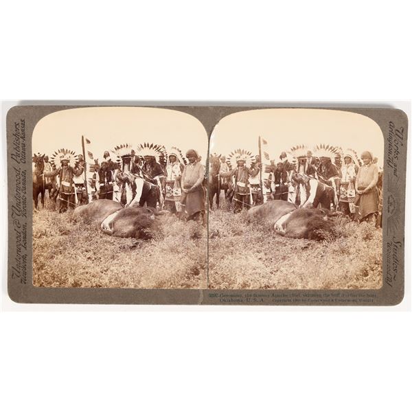 RARE: Indian Kill Buffalo by Arrow - Stereo view card [203843]
