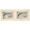 Image 4 : Historical Colt Prints Collection [203591]
