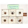 Image 2 : Gaming Counters - Lauer - 1/2 Penny, 12pcs [201580]