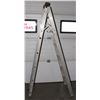 Image 2 : 87" LADDER, ADJUSTABLE HEIGHT/ STYLE