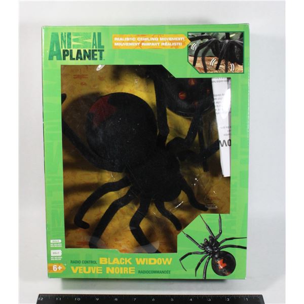 REMOTE CONTROL BLACK WIDOW SPIDER