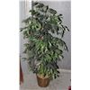 Image 1 : ARTIFICIAL WEEPING FIG TREE