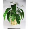 Image 1 : ARTIFICIAL PEACE LILY PLANT
