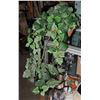 Image 1 : ARTIFICIAL IVY PLANT