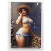 Image 1 : NEW BLUE SHELL BIKINI PIN UP GIRL METAL SIGN