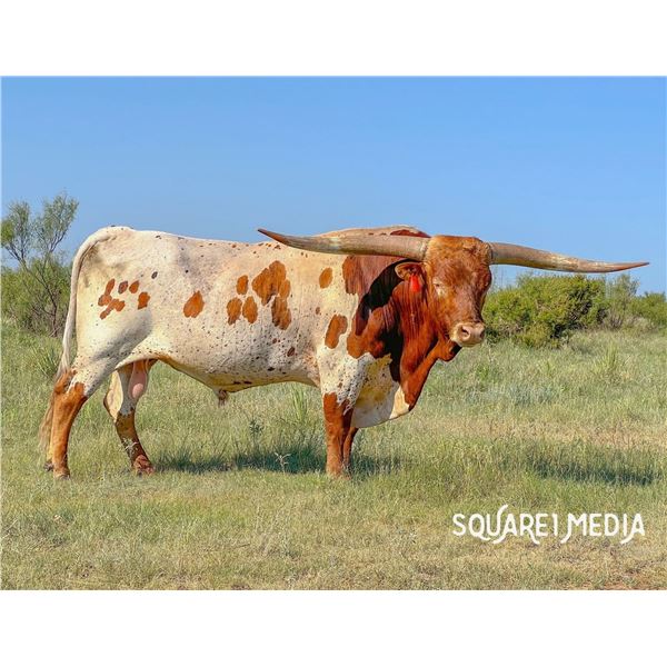 Solid Ground BCR 055