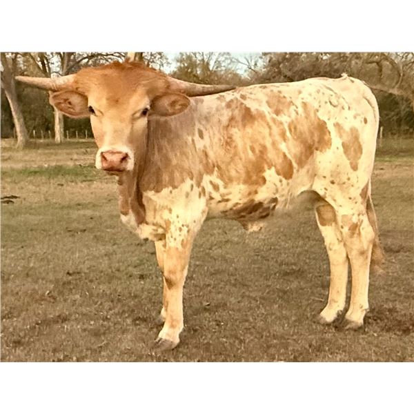 SCRATCH: Kid's Summer Night JH