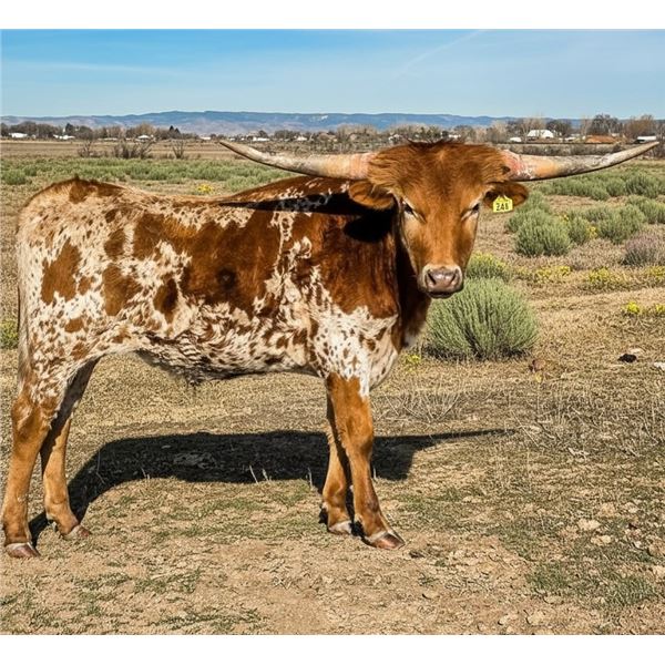 DCL Speckles McRedfox