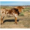 Image 1 : DCL Speckles McRedfox