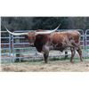 Image 1 : NV Zip It Cowboy