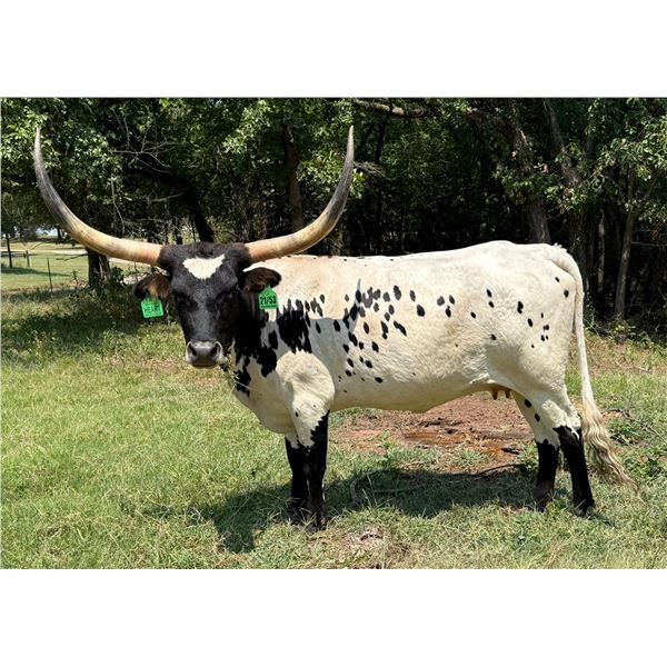 LVR Heart Dreamer