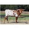Image 1 : WFF ALPHIE'S AVA
