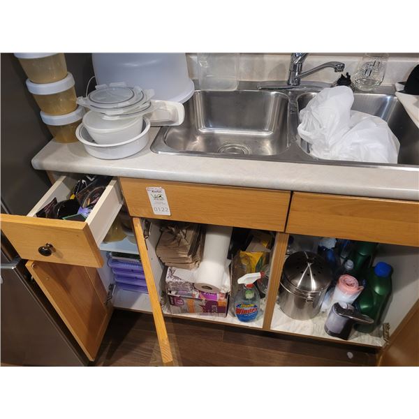 Kitchen Cleaners, Plastic Storage A