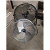 Image 1 : Fans B