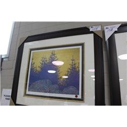 Limited Edition Print 117/995