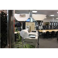 2 Floor Lamps