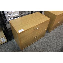 Oak 2 Door Storage Cabinet