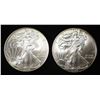 Image 1 : 2008 & 2009 AMERICAN SILVER EAGLES