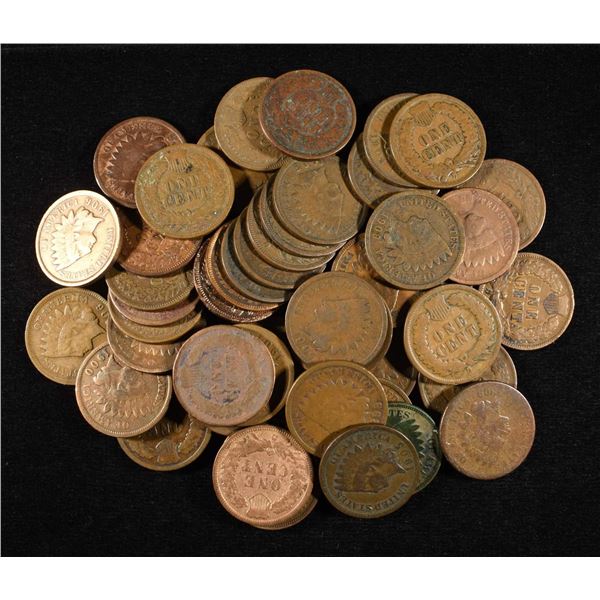 (50) INDIAN HEAD CENTS