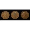 Image 2 : (23) LINCOLN WHEAT CENTS