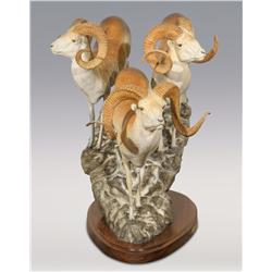 James Stafford, bronze, 1980, 22 1/2" x 31" x 19", Ovis Ammon Poli