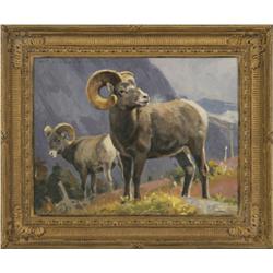 Luke Frazier, oil on board