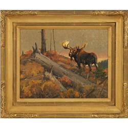 Luke Frazier, oil on board