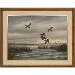 David Maass, oil on board