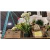Image 5 : 2 SHELVES OF ASSORTED FAUX PLANTS/FLOWERS, FLOWER VASES/POTS & DECORATIVE ITEMS