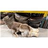 Image 3 : SHELF OF ASSORTED METAL RUSTIC BASINS, ANIMAL PELT, METAL PIPES, PROP BONES & MORE