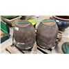 Image 1 : PAIR OF BROWN RUSTIC CERAMIC PLANTER POTS ON PALLET APPROX 1.5' W X 2.2' H