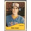 Image 1 : 1979 TCMA MiLB TEAM SET VANCOUVER CANADIANS - NED YOST